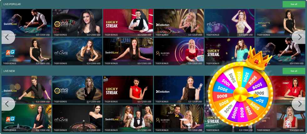 22Casino Live Dealers